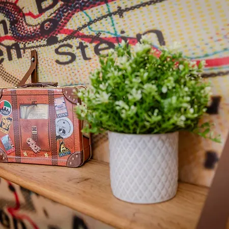 Daire Explorer, Proche Basel, Voyage, Style & Confort Saint-Louis (Haut-Rhin)