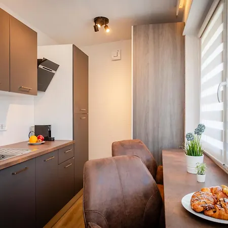 公寓 Explorer, Proche Basel, Voyage, Style & Confort 圣路易